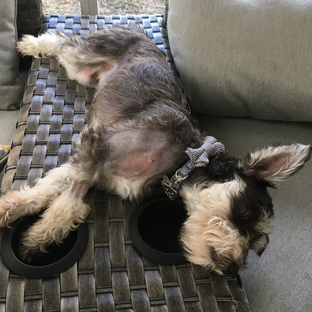 Meet your Posher, Ness